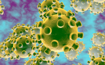 Coronavirus: l’Etat roi est nu