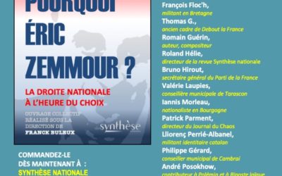 Pourquoi Éric Zemmour ?