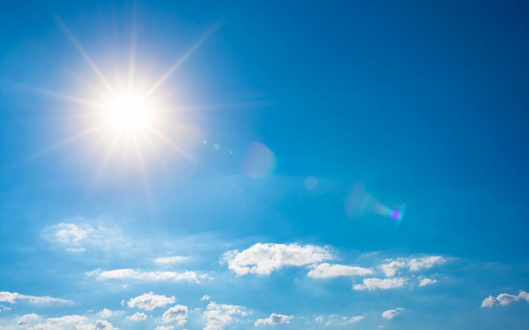 Le soleil brille, les fous s’agitent