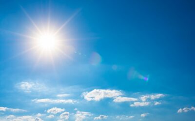 Le soleil brille, les fous s’agitent