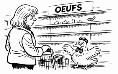 La pénurie d’œufs ou le naufrage écolo-bureaucratique