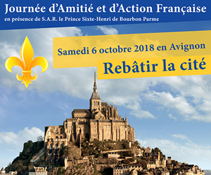 Journée d’amitié et d’action française le 6 octobre en Avignon