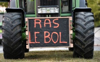 Le suicide des agriculteurs multiplié par trois en 2016