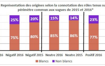 TV : selon le CSA, les personnes « non-blanches » sont surreprésentées dans les activités illégales