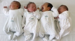 C’est dit : moins de bébés = plus d’immigrés