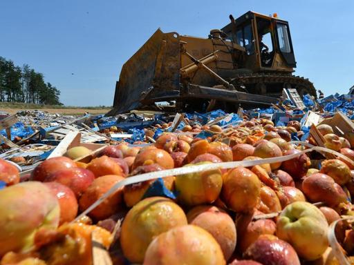 Combien l’embargo russe coûte-t-il à l’agriculture française ?