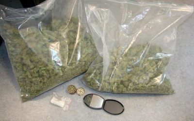 Haut-de-Seine : 1,2 tonne de cannabis saisie à Rueil-Malmaison